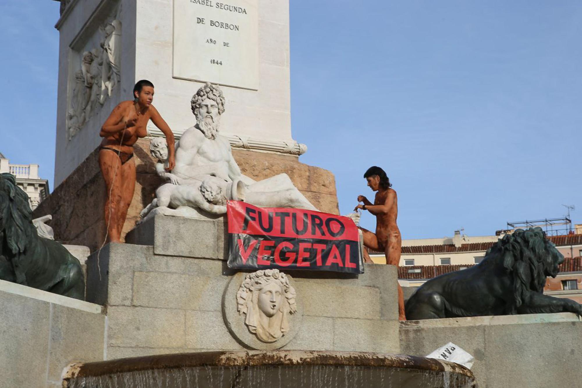 Accion Futuro Vegetal 1